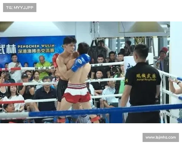 拳击国际日河南登封举办1.8万人快闪活动融合传统武术与现代拳击激情碰撞